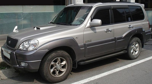 Защита радиатора Hyundai Terracan (2001-2007 г.в.) купить в интернет-магазине tuning63